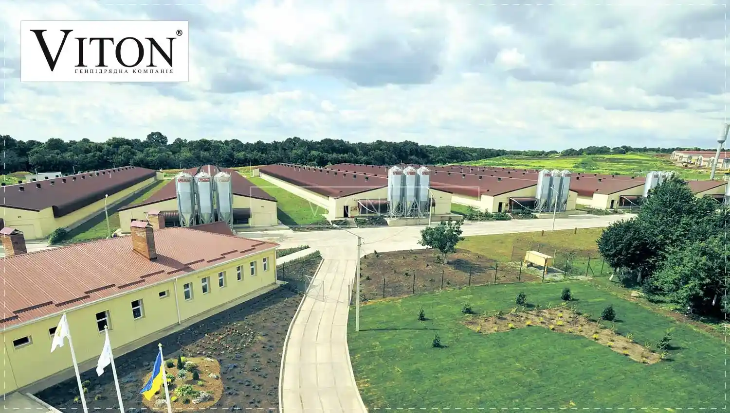 Конструктивные решения при строительстве животноводческих комплексов от Viton.