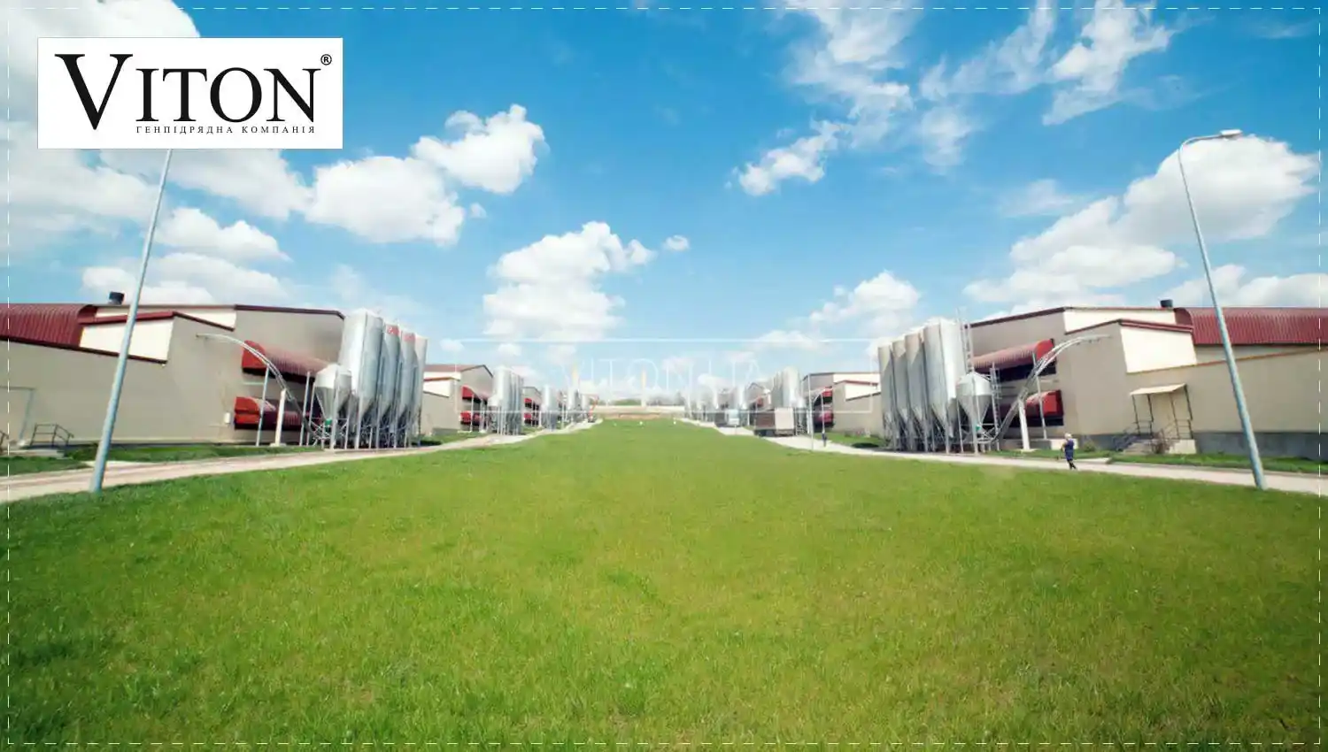 Особливості проектування швидкомонтованих будівель для птиці та дрібної худоби — ТОВ Вітон.