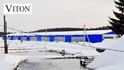 10 | Рибне господарство. Цілорічне вирощування риби