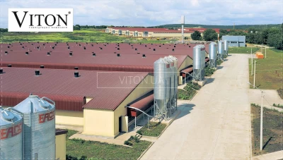 2 | Пташники. Утримання та вирощування птиці