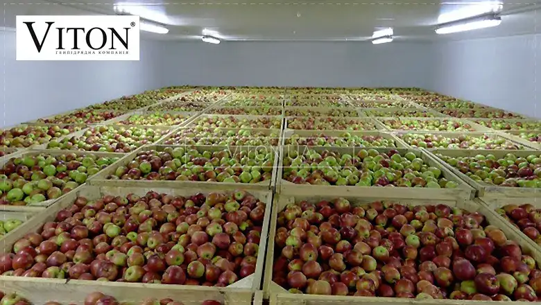 Фруктосховищ