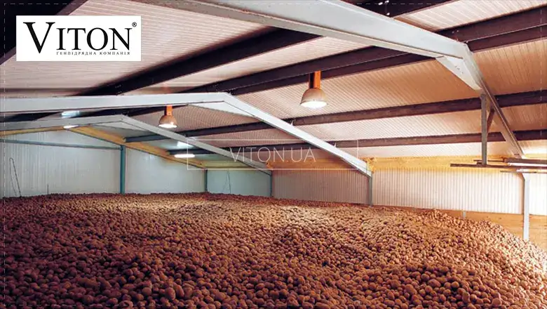 Овочесховищ